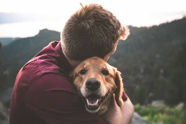 perro abrazo salud