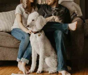familia animales