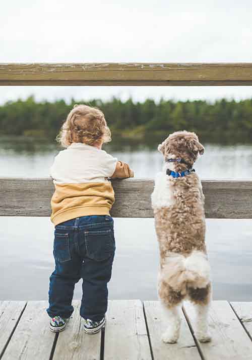 escoger_perro_gos_raza_familia_raça_adoptar