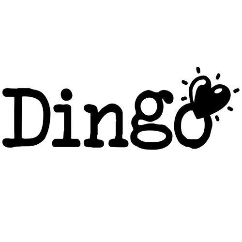 dingo-pienso-perro