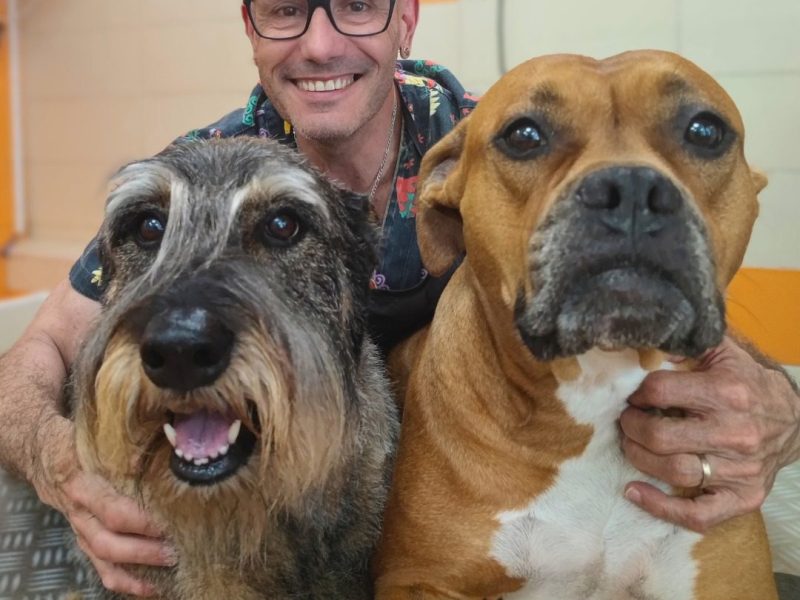 peluqueria-canina-felina-maresme